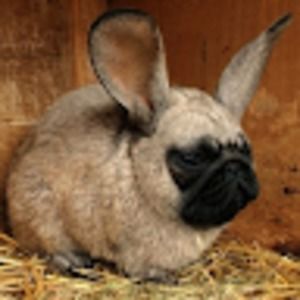 Meet your Posher, Garrett